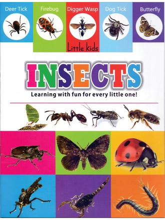 LITTLE KIDS BOOK INSECTS