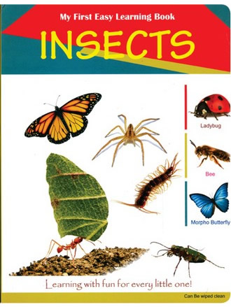 INSECTS