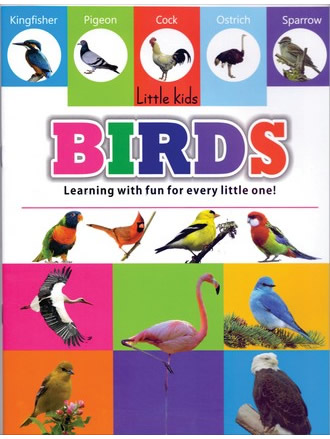 LITTLE KIDS BOOK BIRDS