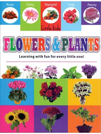 LITTLE KIDS BOOK FLOWERS & PLANTS